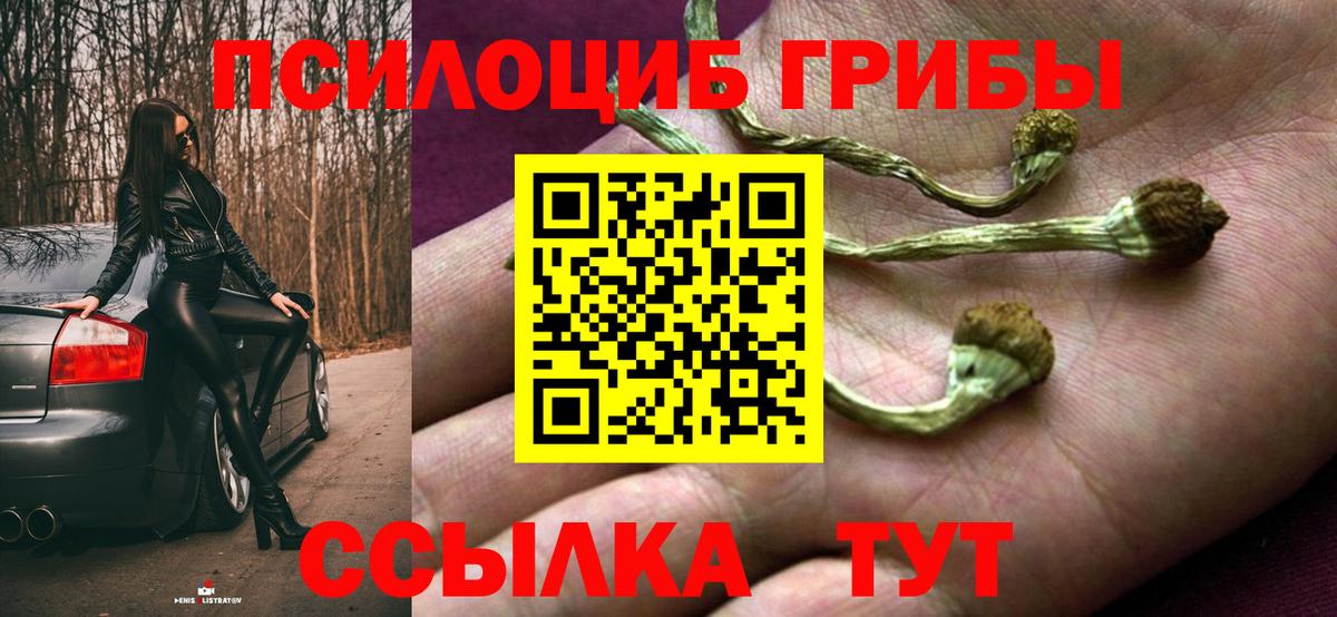 Тимашёвск  Галлюциногенные грибы Psilocybine cubensis  Вход с VPN  Псилоцибиновые грибы Psilocybine cubensis 