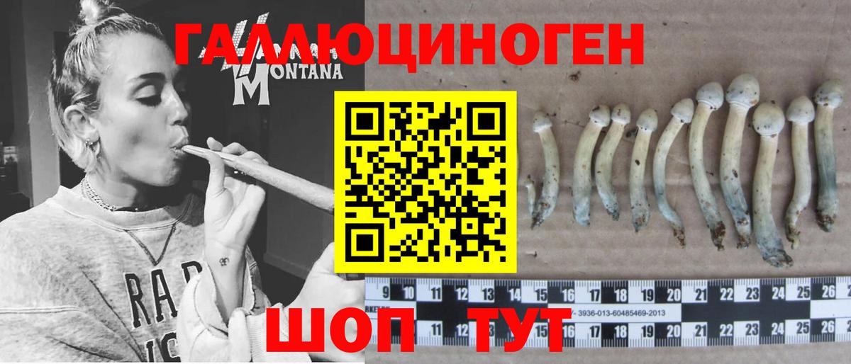 Канабис  Вход с VPN  Тимашёвск  Мефедрон   Экстази  КЕТАМИН  ГАШИШ  Где продают наркотики? 
